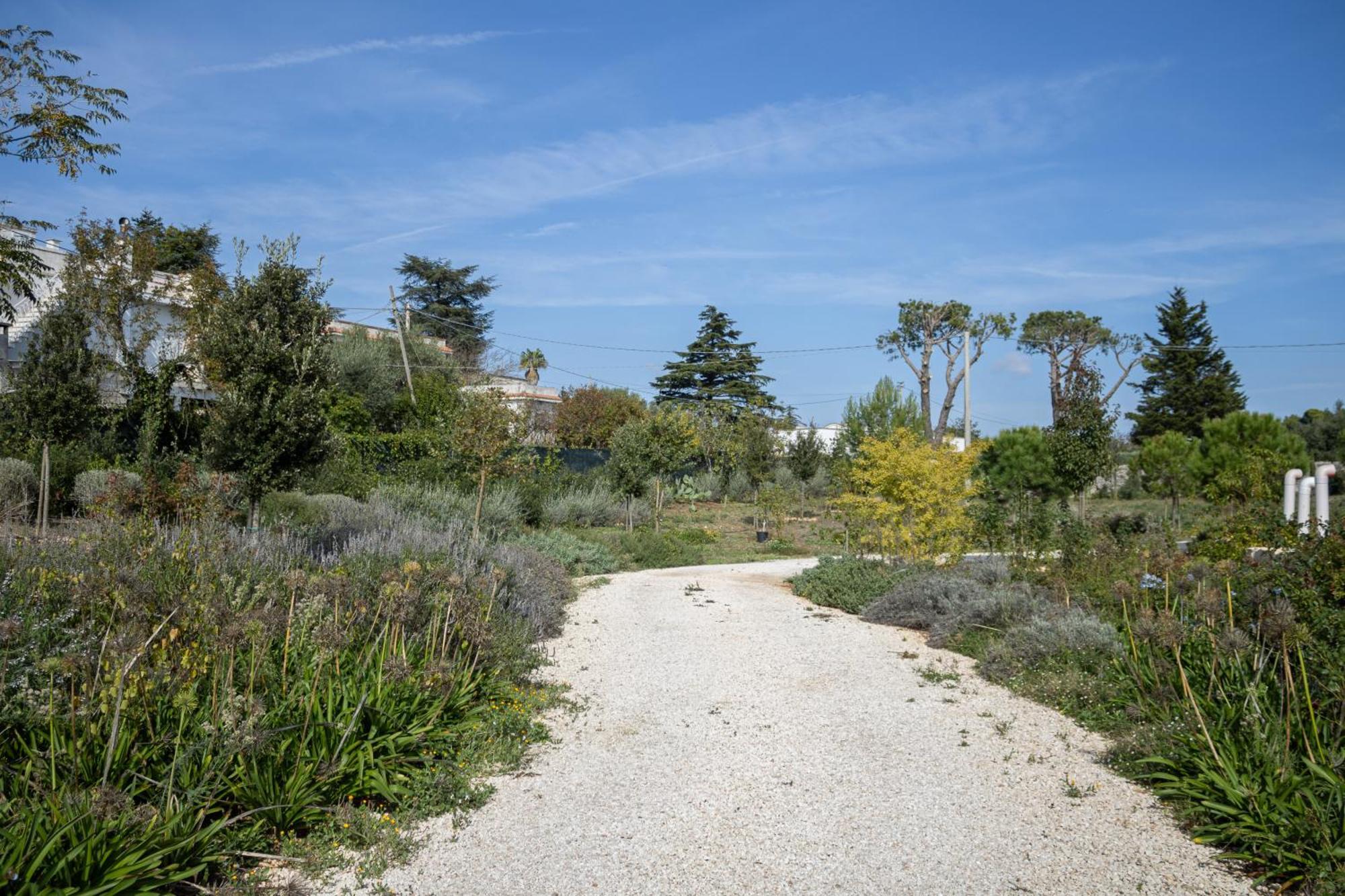 Villa Ada-Trulli Puglia Martina Franca Luaran gambar